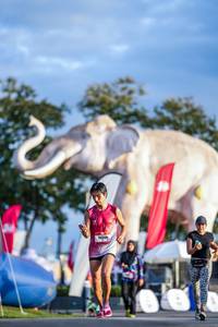 BIB: 
                            <button type="button" onclick="openModal(26541217)" class="btn btn-primary btn-sm float-right btn-popup" data-toggle="modal" data-target=".modal-high-quality">
                        <i class="fas fa-shopping-cart"></i> Add to Cart
                    </button>
                                            <button type="button" onclick="isThisMe(26541217, true)" class="btn btn-success btn-sm float-right btn-popup btn-isme hidden" data-toggle="tooltip" data-placement="bottom" title="นี่คือรูปของคุณใช่ไหม คลิกที่นี่เพื่อเอาเข้าอัลบั้ม">
                        <i class="fas fa-plus"></i> Add to album
                    </button>
                    <button type="button" onclick="isThisMe(26541217, false)" class="btn btn-warning btn-sm float-right btn-popup btn-isnotme hidden">
                        <i class="fas fa-ban"></i> Remove from album
                    </button>